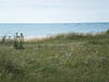 Show full-size image