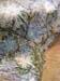 Show full-size image