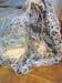 Show full-size image